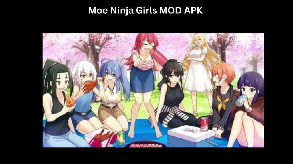 Moe Ninja Girls MOD APK